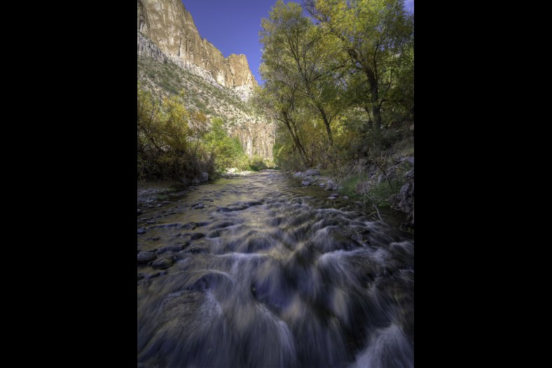 Aravaipa Creek Autumn